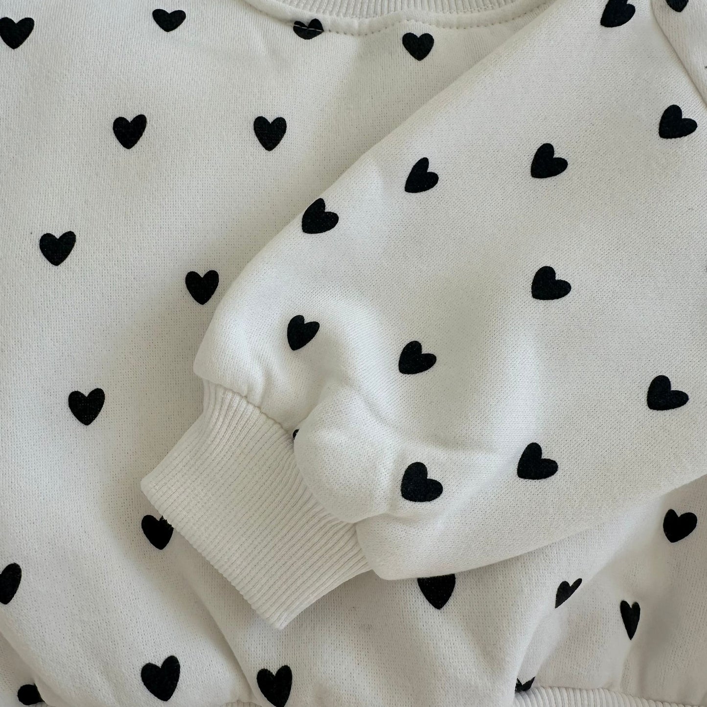 Ensemble « Cœur Polaire »