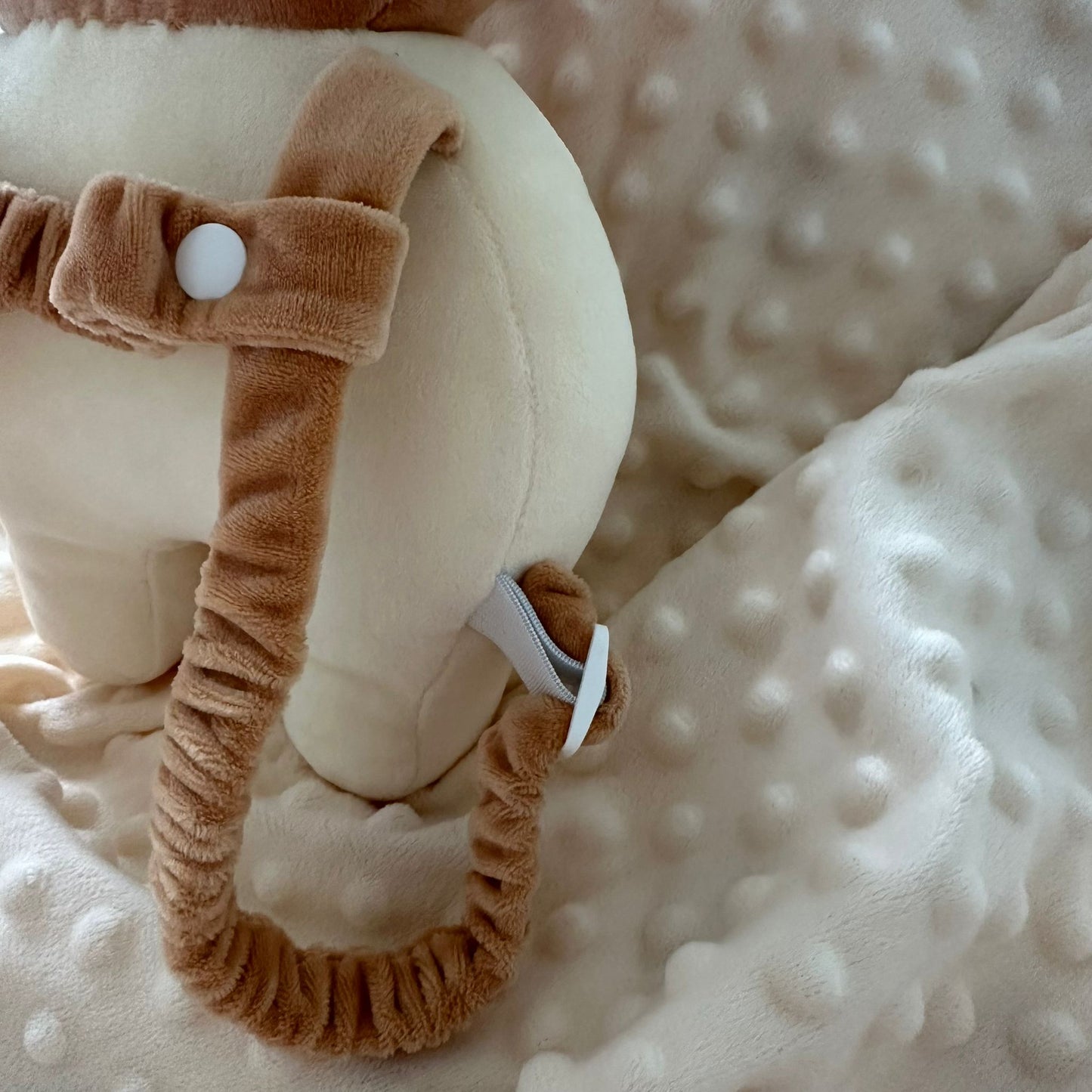 Protection « Premiers Pas Sécurisés »